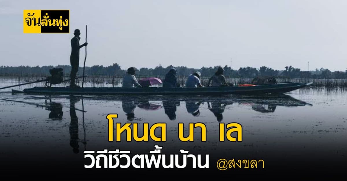 โหนด นา เล วิถีชีวิตพื้นบ้าน แห่งคาบสมุทรสทิงพระ จ.สงขลา