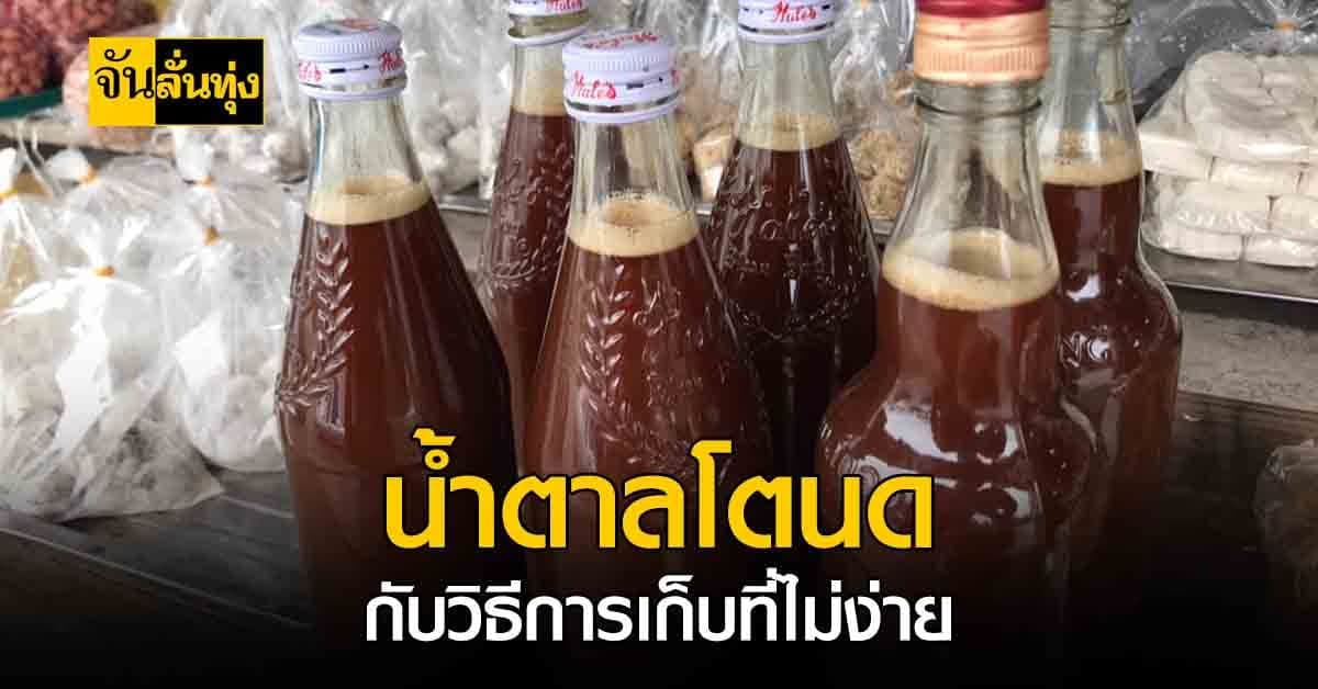 น้ำตาลโตนด กับวิธีการเก็บที่ไม่ธรรมดา กว่าจะได้ออกมาไม่ใช่เรื่องง่าย