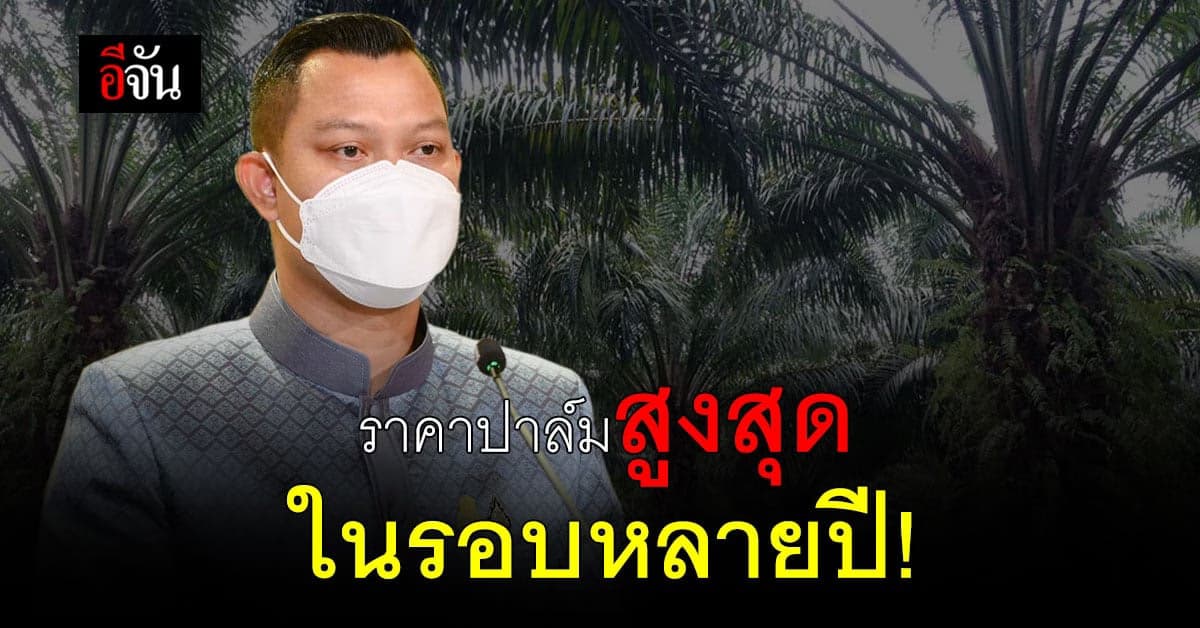 รัฐบาลชุดนี้ทำราคาปาล์มสูงสุดในรอบหลายปี! วอนชาวสวนปาล์มเข้าใจ