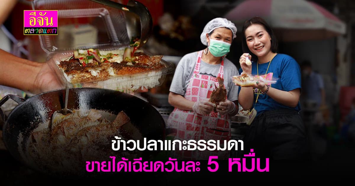 ธรรมดาแต่ว่าโดน ล้วงกลยุทธ์ ข้าวปลาแกะ ฮิตจนโกยรายได้วันละ 5 หมื่น