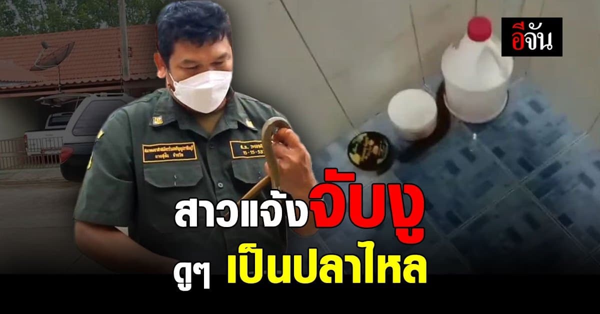 สาวแจ้ง กู้ภัย มาจับงู แต่งูแปลงร่าง เป็นปลาไหล?