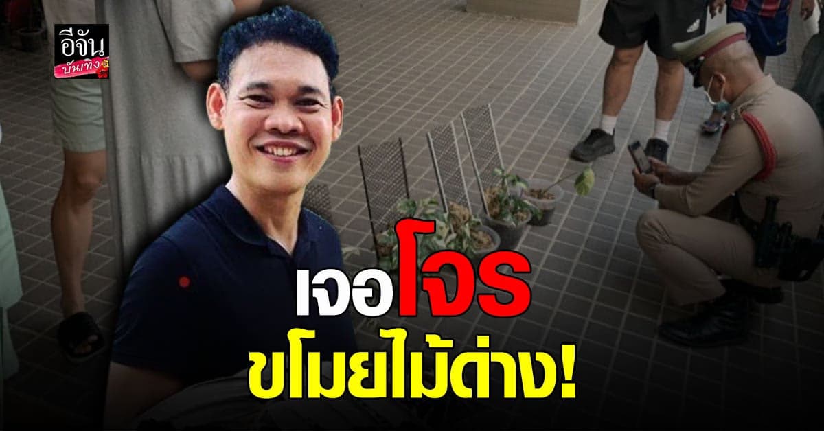 ไฮโซโฮม เพื่อน ไฮโซน้ำหวาน เจอดี โดนโจร ขโมยไม้ด่าง สูญนับ 10 ล้าน