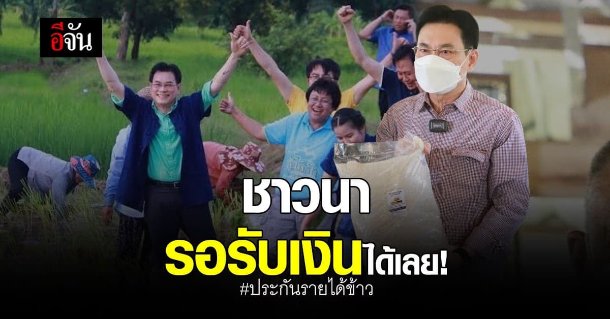 ชาวนารอเลย! ประกันรายได้ข้าว โอนเงินส่วนต่าง 9-14 ธ.ค.นี้