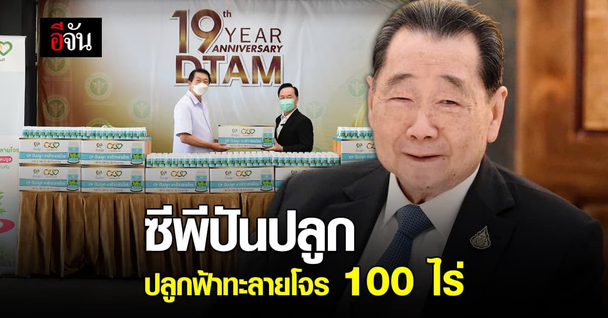 ซีพีปันปลูก ปลูกฟ้าทะลายโจร 100 ไร่ เพื่อทำยาสมุนไพรแคปซูลแจกประชาชน