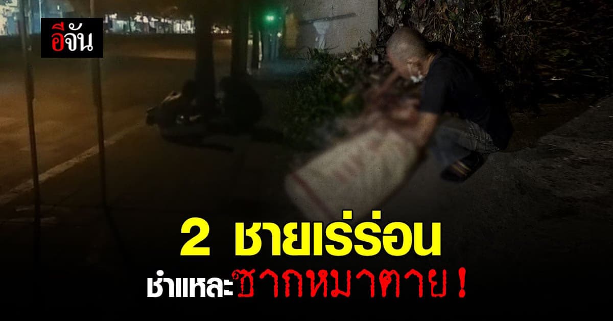 2 ชายเร่ร่อน ชำแหละซากหมาตาย หนึ่งในนั้น อ้าง ไม่ได้กิน แค่ช่วยหั่น!