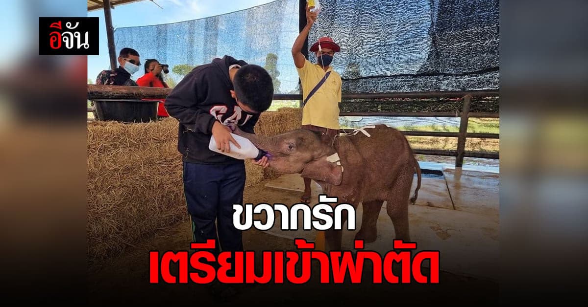 อัพเดตจาก สวนนงนุช ขวากรัก เตรียมเข้าผ่าตัดกระสุนในแผล