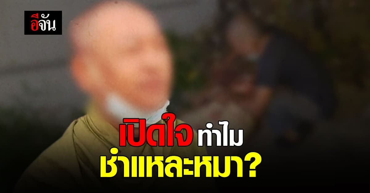 ชายเร่ร่อน เปิดใจ ทำไมต้อง ชำแหละเนื้อหมา