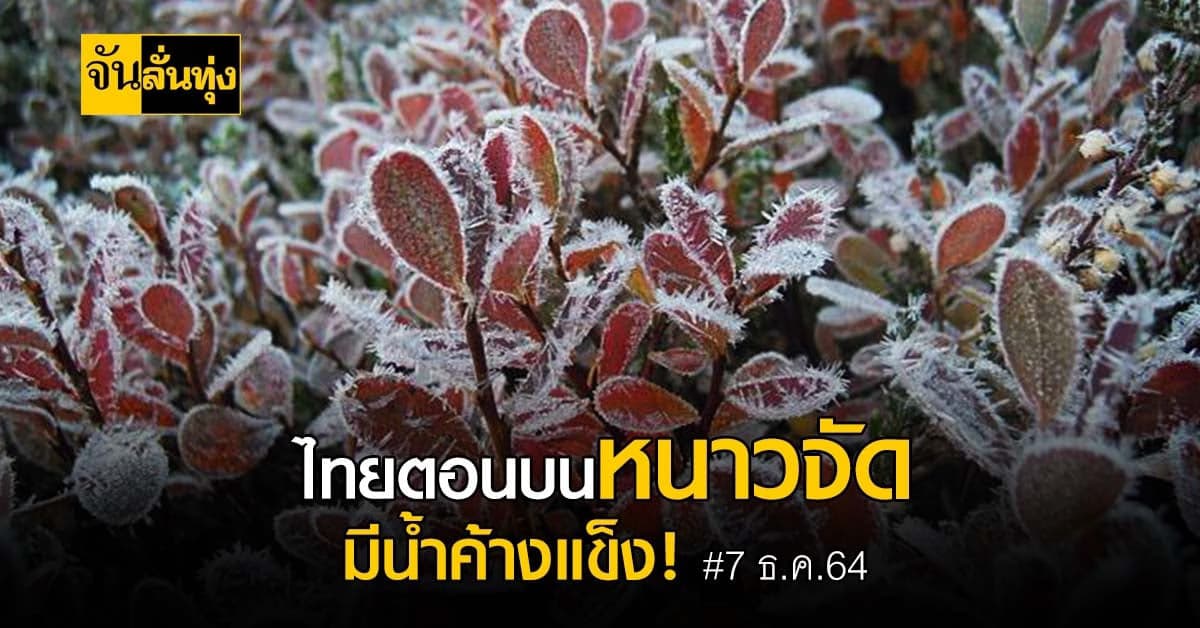 กรมอุตุฯ เผย เหนือ-อีสานหนาว ลมแรง ใต้ฝนถล่มบางแห่ง