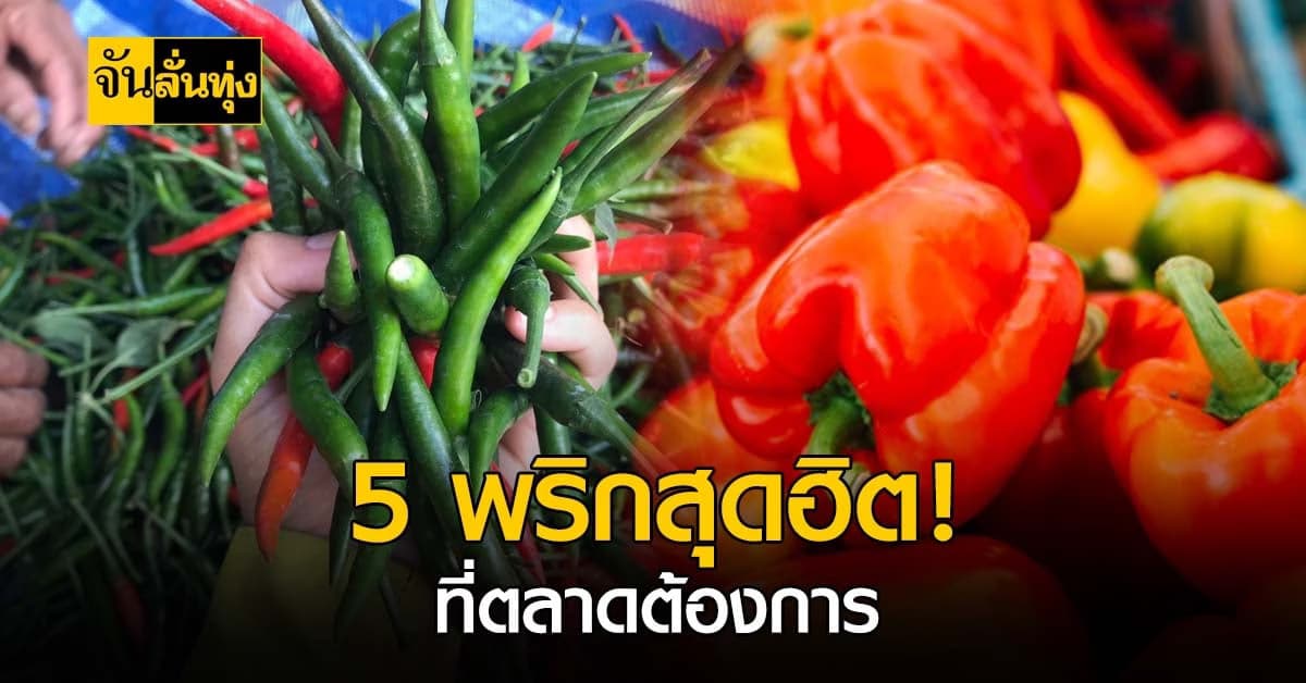 พริก 5 สายพันธุ์ ที่ตลาดต้องการมากที่สุด!