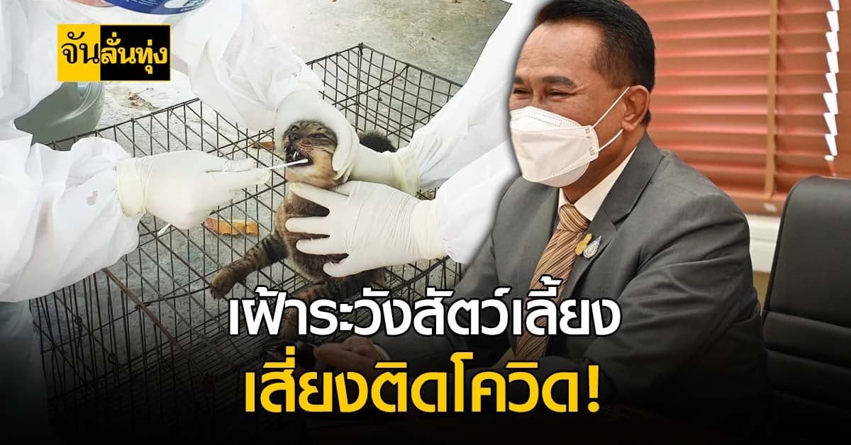 ปศุสัตว์ เตือน เฝ้าระวังสัตว์เลี้ยง เสี่ยงโรคโควิด-19!