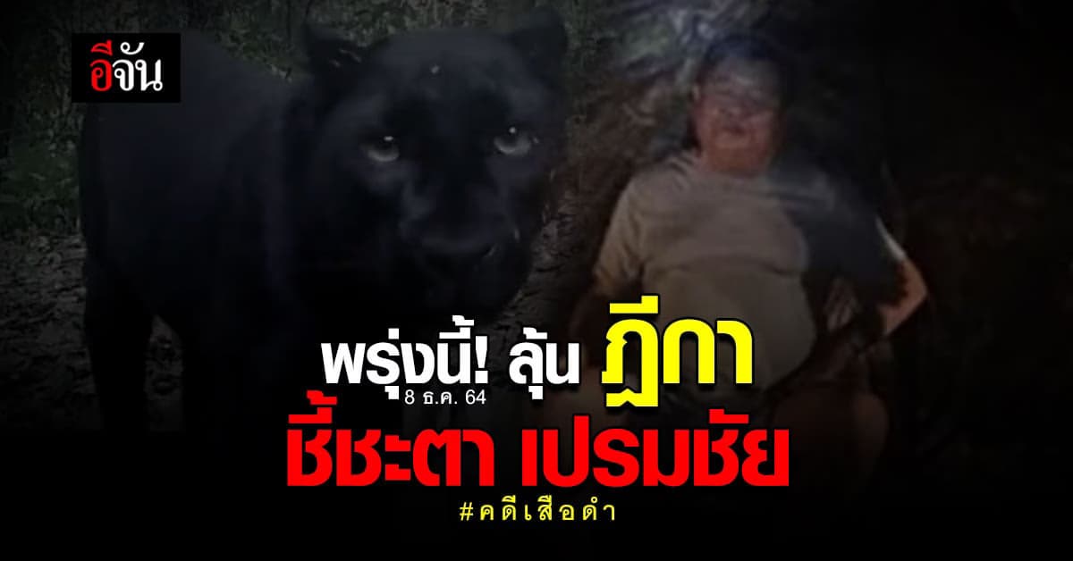 ลุ้น ฎีกา ชี้ชะตา เปรมชัย! #คดีเสือดำ