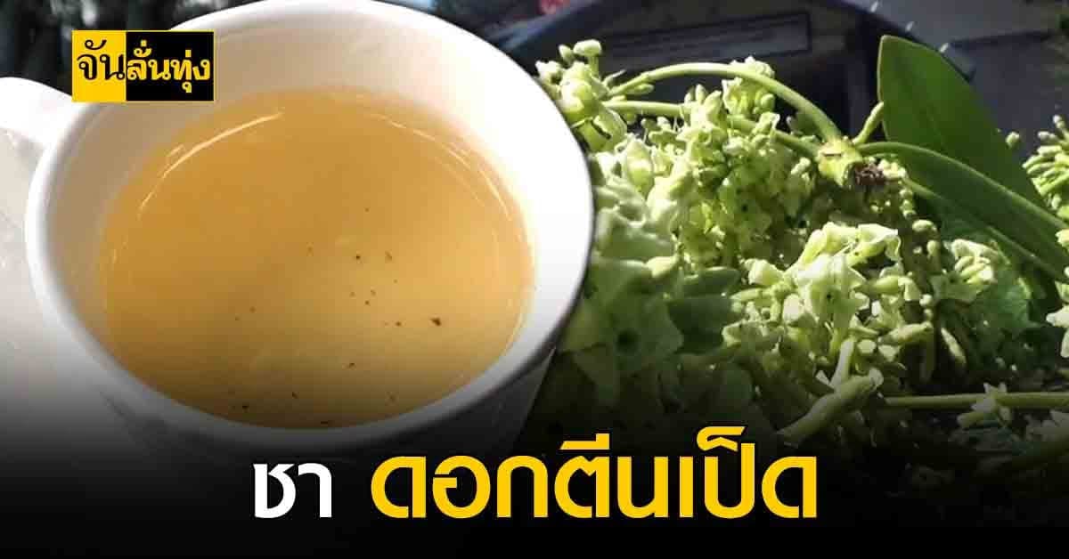 เชียงใหม่ ผุดไอเดีย เปลี่ยนดอกตีนเป็ด เป็นชา