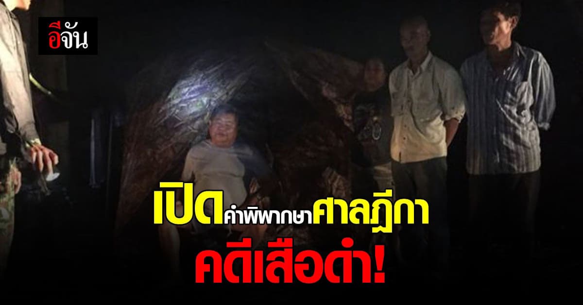 เปิดคำพิพากษาศาลฎีกา คดีเปรมชัย กับพวก ล่าเสือดำ!