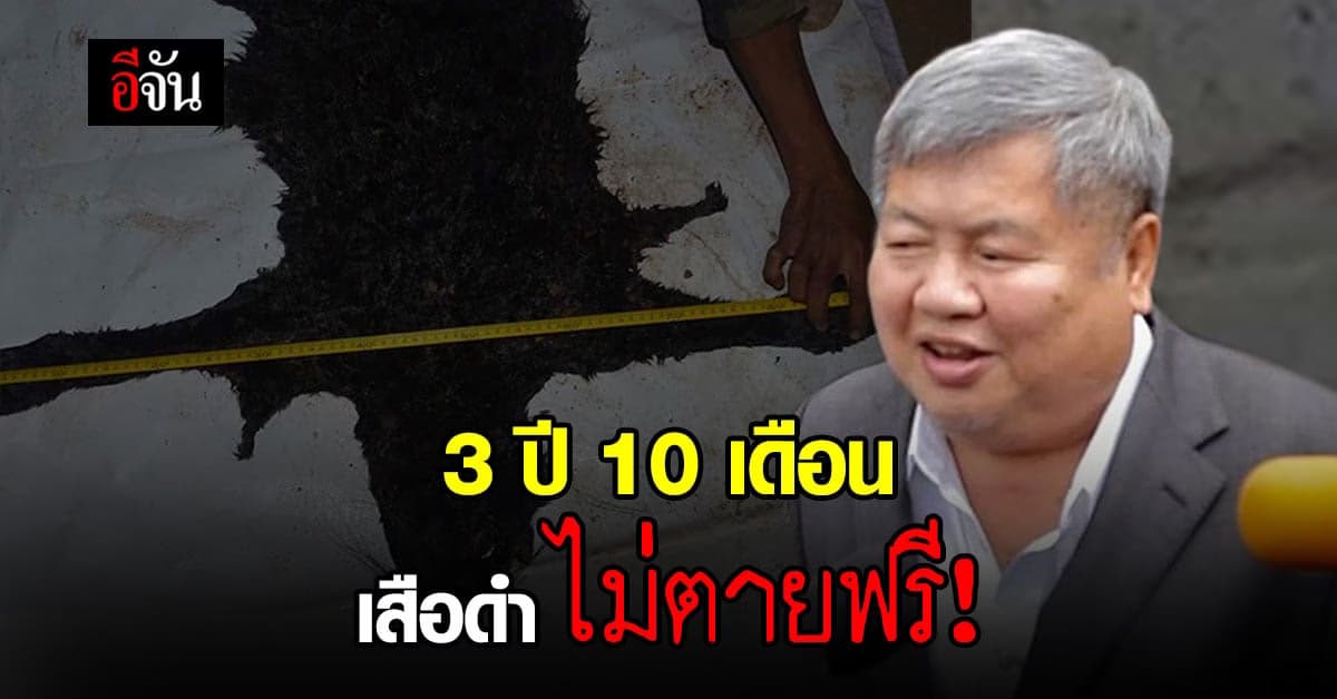 3 ปี 10 เดือน คดีเปรมชัย จากวันล่าสู่วันที่ เสือดำไม่ตายฟรี