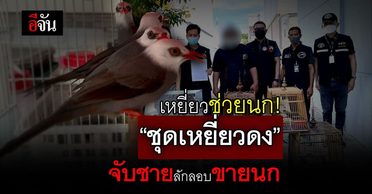 “ชุดเหยี่ยวดง” จับกุม ชาย ลักลอบขาย นก รวม 27 ตัว