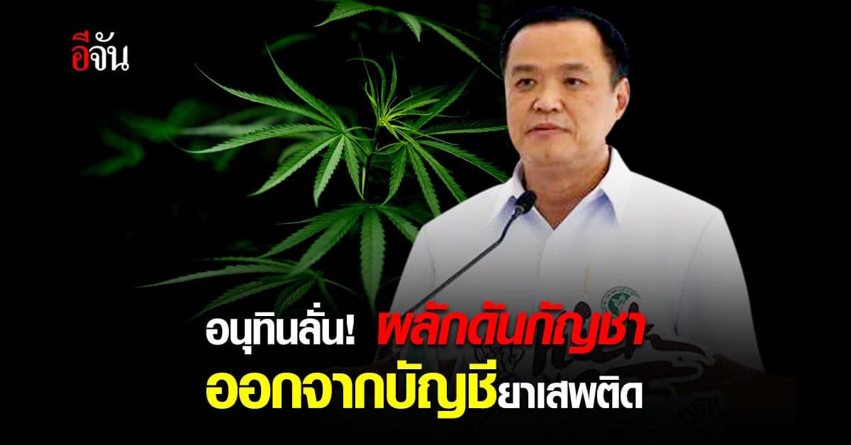 อนุทิน ลั่น !! ตั้งแต่ ปี 2565 ผลักดัน กัญชา ออกจาก บัญชี ยาเสพติด