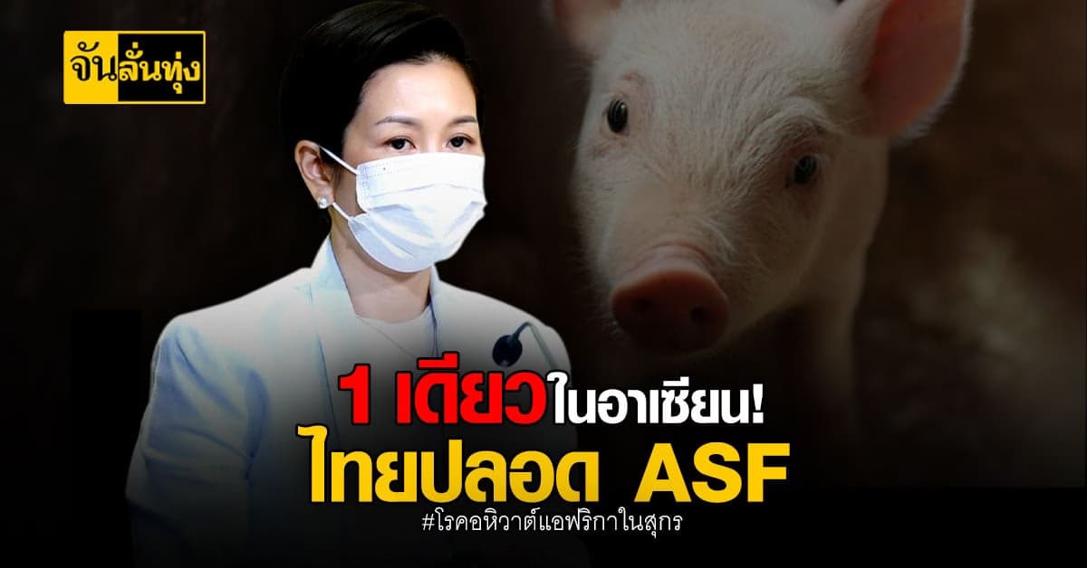 ประเทศไทย หนึ่งเดียวในอาเซียน คงสถานะปลอด โรคอหิวาต์แอฟริกาในสุกร