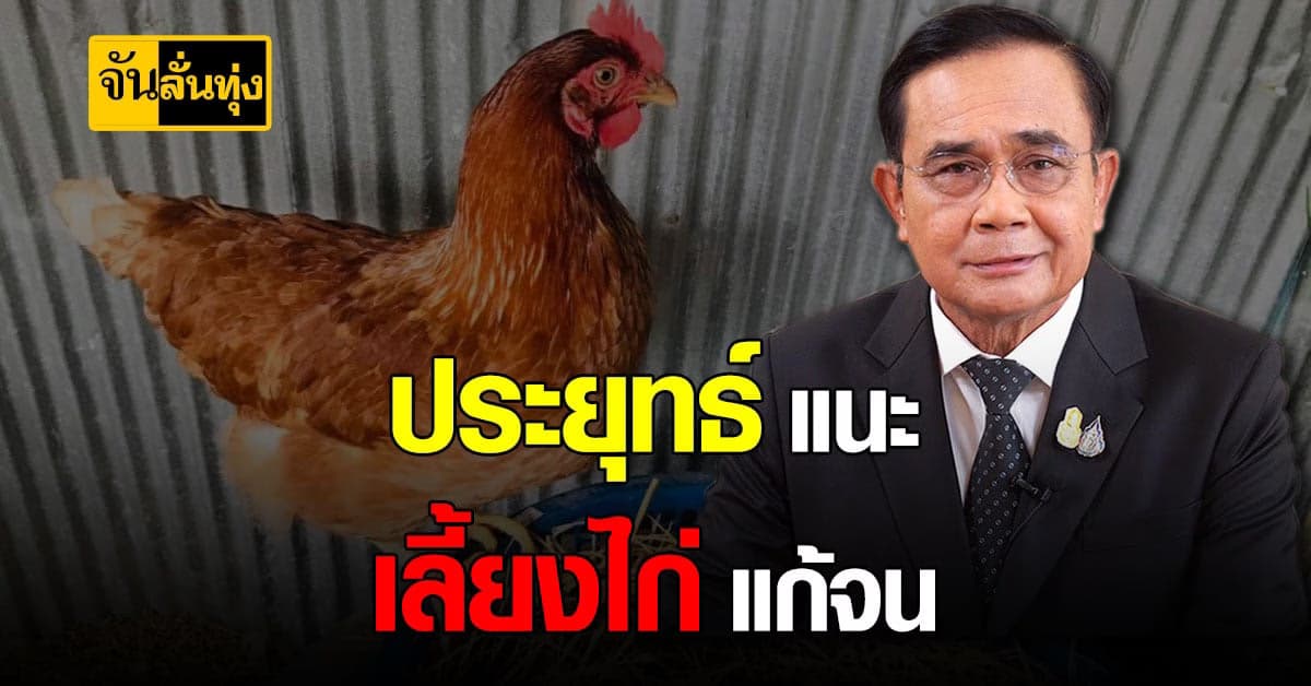 แก้ปัญหาความยากจน? นายก แนะ เลี้ยงไก่ บ้านละ 2 ตัว แก้ปัญหายากจน