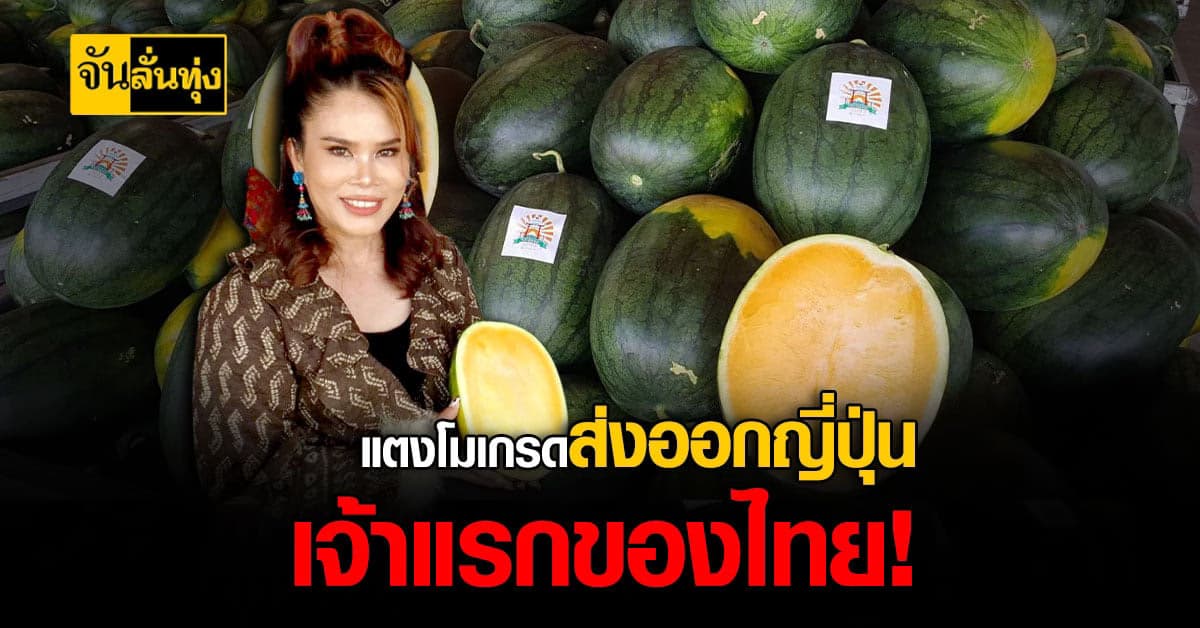 เจ้าของฟาร์ม แตงโมสายพันธุ์ใหม่ ดีกรี ส่งออกญี่ปุ่น