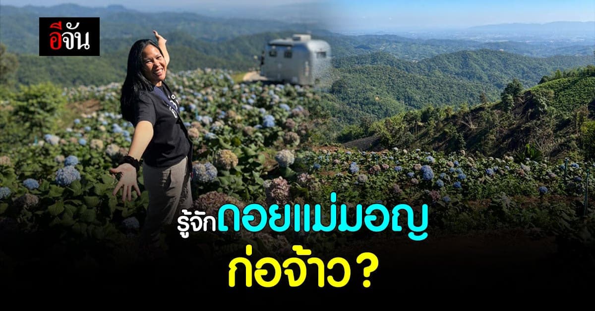 ดอยแม่มอญ ที่เที่ยวใหม่ บนดอยเชียงราย ดอกไฮเดรนเยีย บานสะพรั่ง