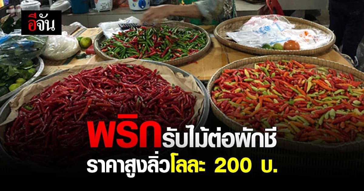 ชาวยะลาอ่วม ราคาพริกพุ่ง กก.200 บาท มะเขือเทศไม่น้อยหน้า ขอขึ้นด้วย