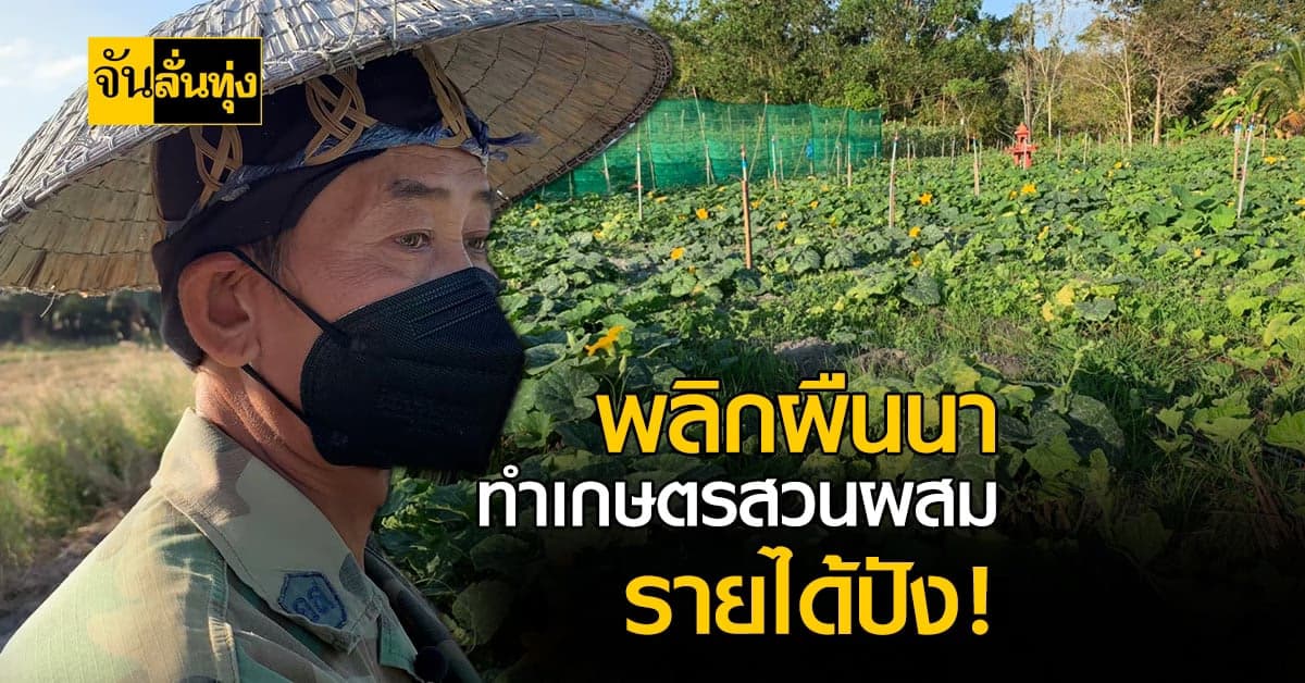 ไอเดียสุดเจ๋ง! พลิก ผืนนา 2 ไร่ ทำพื้นที่ เกษตรสวนผสม สุดปัง!