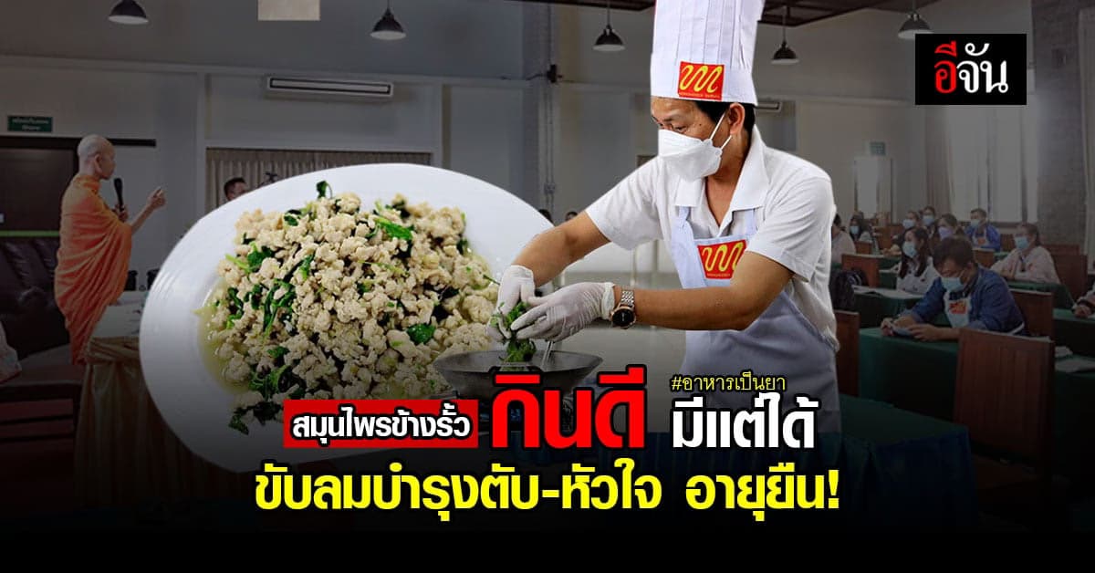 สวนนงนุชจัดใหญ่ งัดสูตรอาหารเป็นยา สมุนไพร กินเยอะอายุยืนจริง?