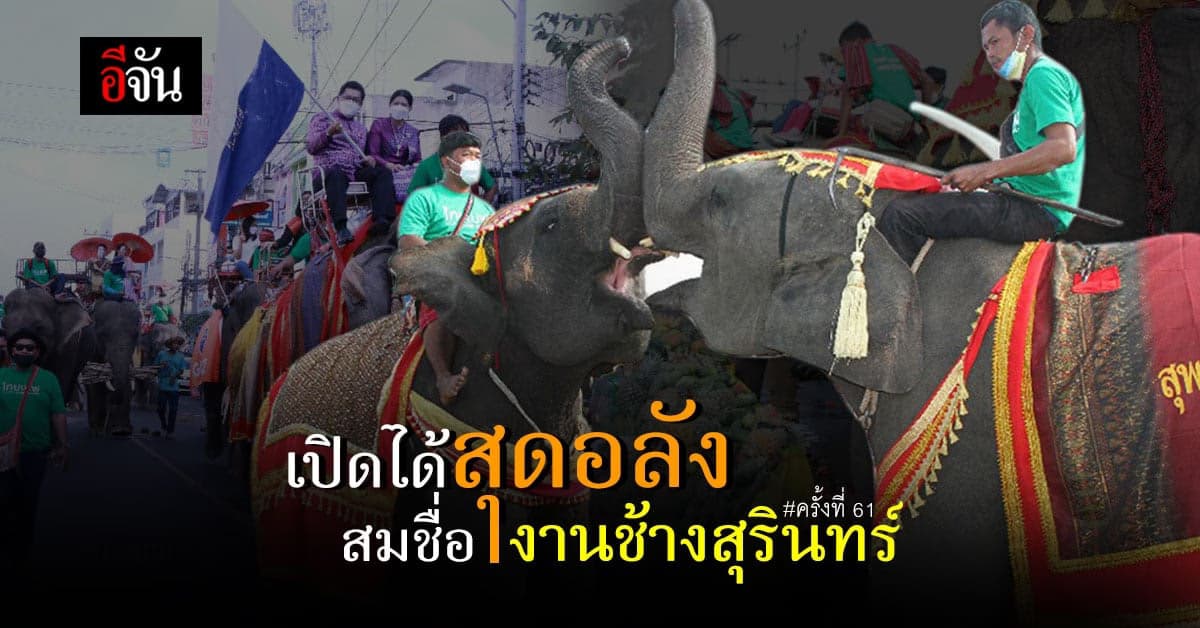 เริ่มแล้วงานช้างแสดงช้างสุรินทร์ ประเดิมเลี้ยงบุฟเฟ่ต์ช้าง 30 ตัน