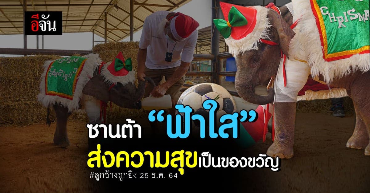 ซานต้า ฟ้าใส แต่งชุด รับเทศกาลวัน คริสต์มาส ส่งความสุขเป็นของขวัญ