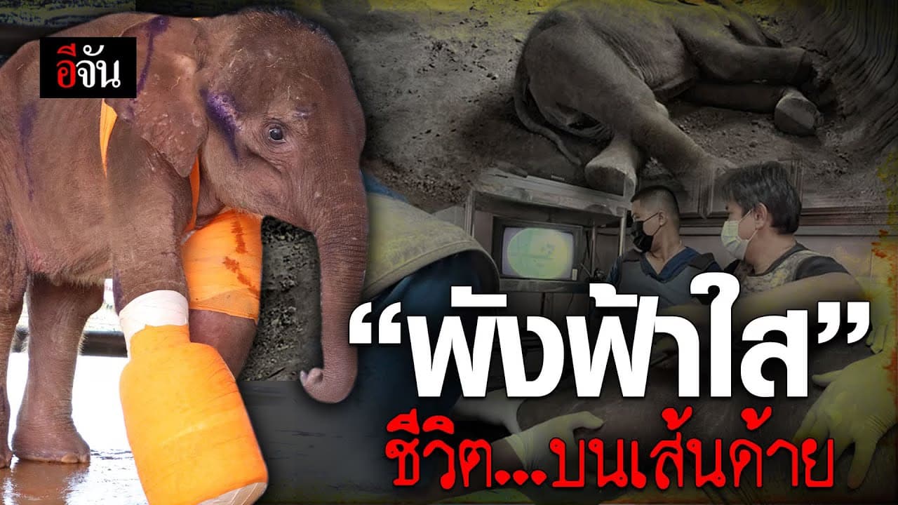 คลิป : “พังฟ้าใส” ชีวิตบนเส้นด้าย