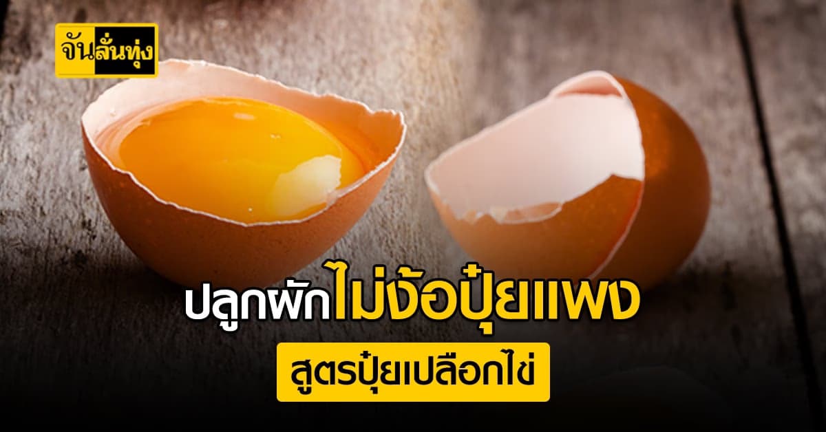 ผักสวยโดยที่ไม่ต้องพึ่งปุ๋ยราคาแพง ทำเองได้ที่บ้าน แจกสูตรฟรี