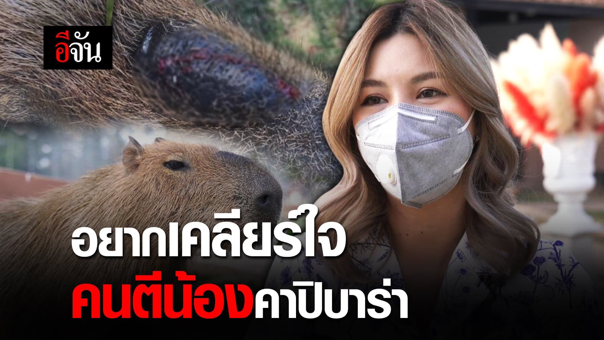 คลิป : อยากเคลียร์ใจ คนตีน้อง คาปิบาร่า