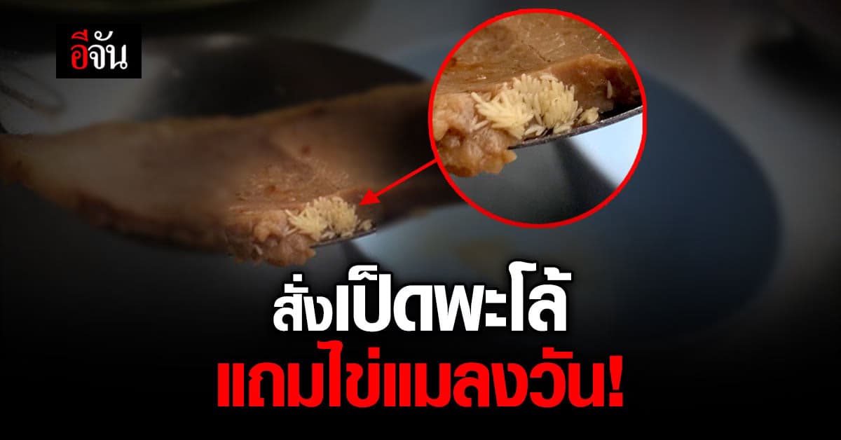 ลูกค้าผงะ! ใครไหวไปก่อนเลย สั่ง เป็ดพะโล้ แถม ไข่แมลงวัน เป็นแพ!