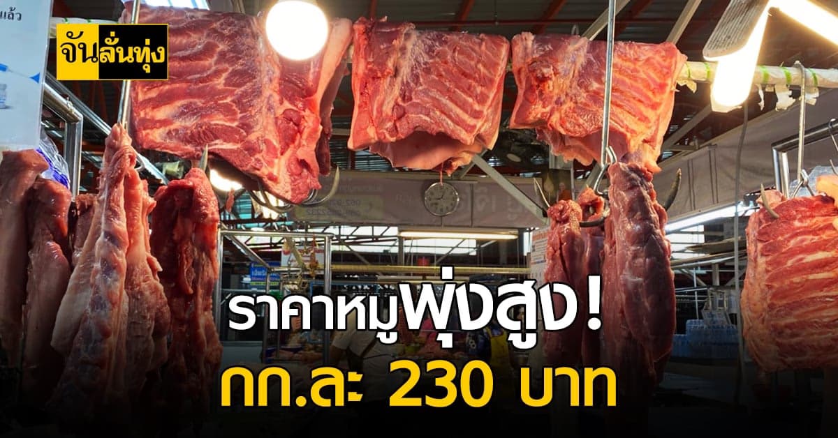 แพงไม่ไหว! ราคาหมูโคราช พุ่งสูง กก. 230 บาท