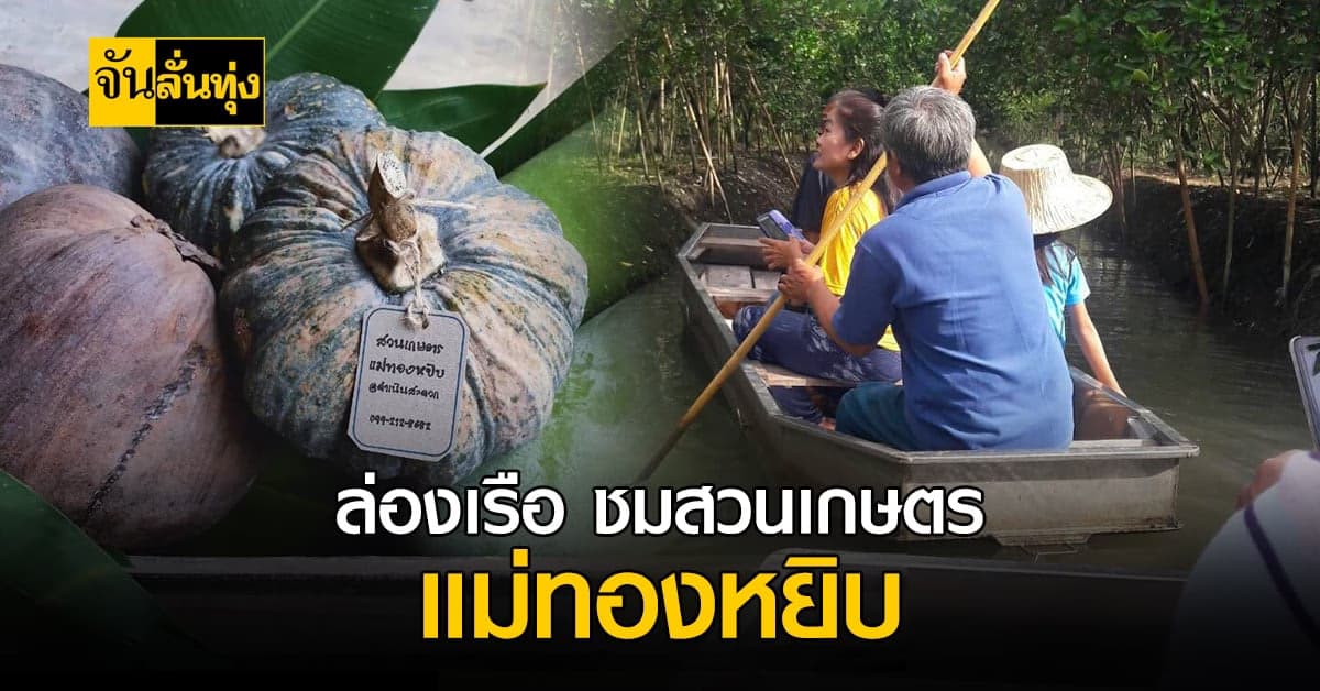 ล่องเรือเที่ยว ใต้เงาไม้ สวนเกษตรแม่ทองหยิบ  ของดี ดำเนินสะดวก