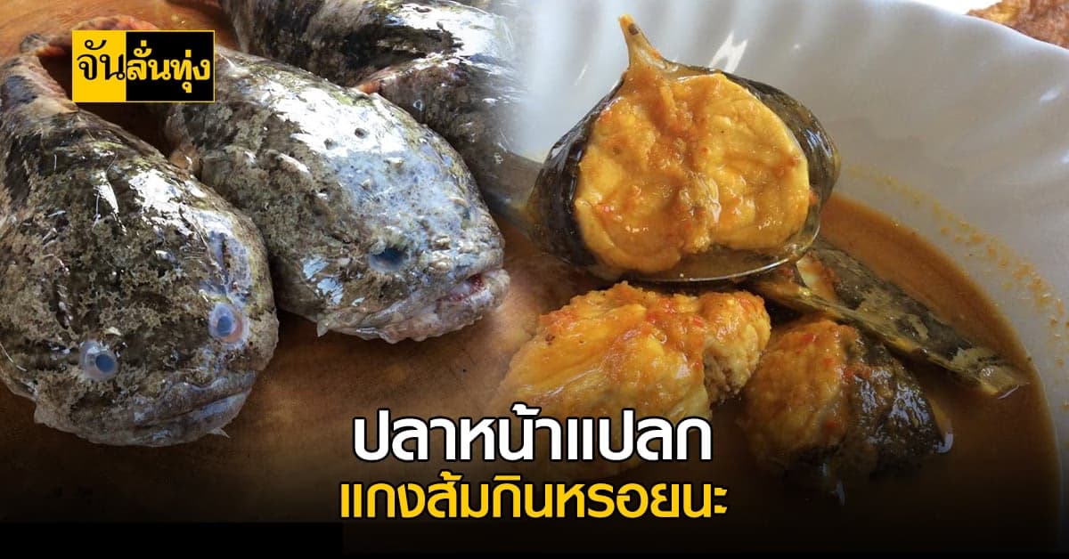 ไม่ใช่ปลาประหลาดนะ อันนี้ปลาอีค้อง แกงส้มหรอยแรง