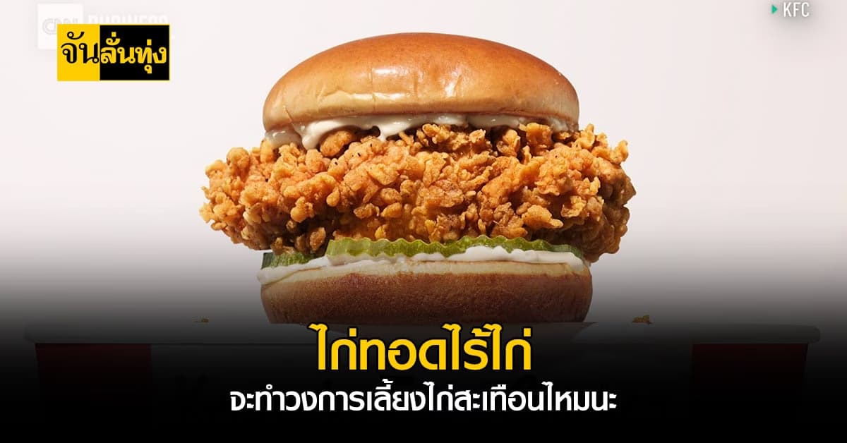 เคเอฟซี ทดลองขาย ไก่ทอด จาก โปรตีนของพืช เพื่อเพิ่มความหลากหลาย