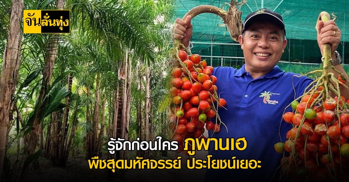 ภูพานเฮ พืชเศรษฐกิจยุคใหม่ ปลูกได้ทุกสภาพดิน แตกหน่อไวออกผลทั้งปี