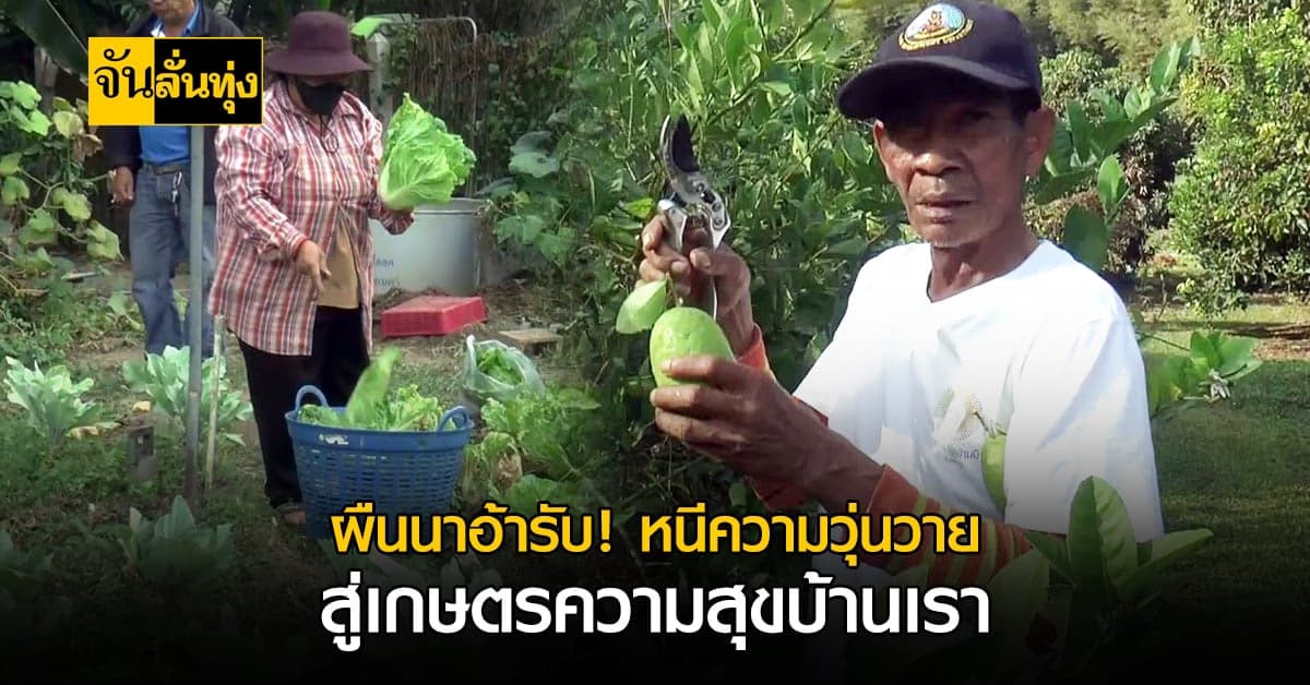 สุขใดเล่าจะเท่าบ้านเรา! หนุ่มใหญ่ หันเอาดีด้านเกษตรผสมผสาน…