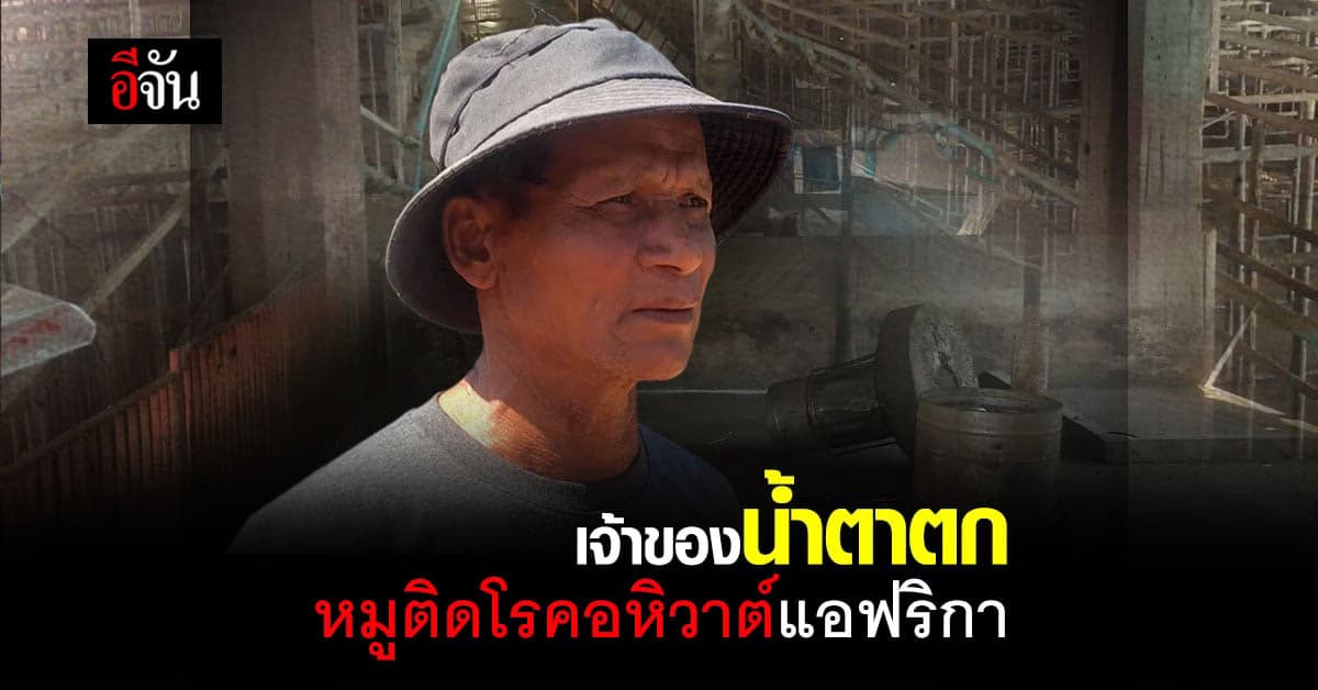 เจ้าของฟาร์มหมู สูญเงิน 4 ล้าน หลังหมูล้มตายด้วยโรคอหิวาต์แอฟริกา