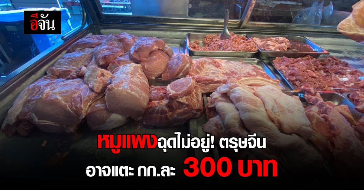 พ่อค้าแม่ค้าเริ่มแบกไม่ไหว! ราคาหมูพุ่งต่อเนื่อง คาดตรุษจีนปรับขึ้นอีก