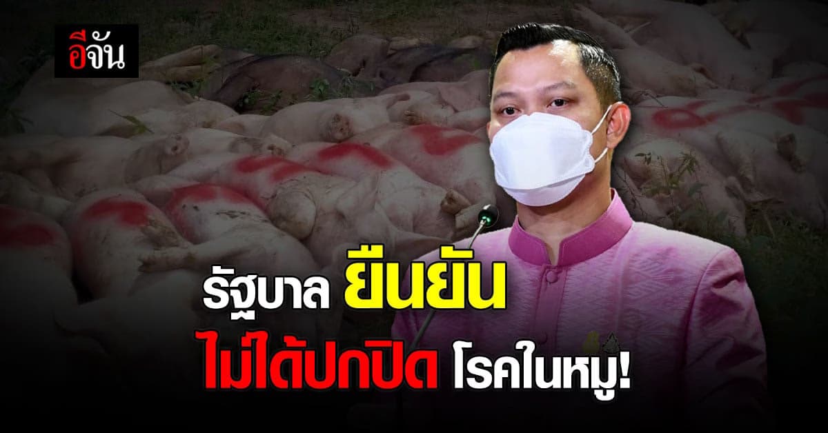 โฆษกรัฐบาล ยัน ไม่ได้ปกปิด โรคระบาดในหมู พร้อม เยียวยาเกษตรกร