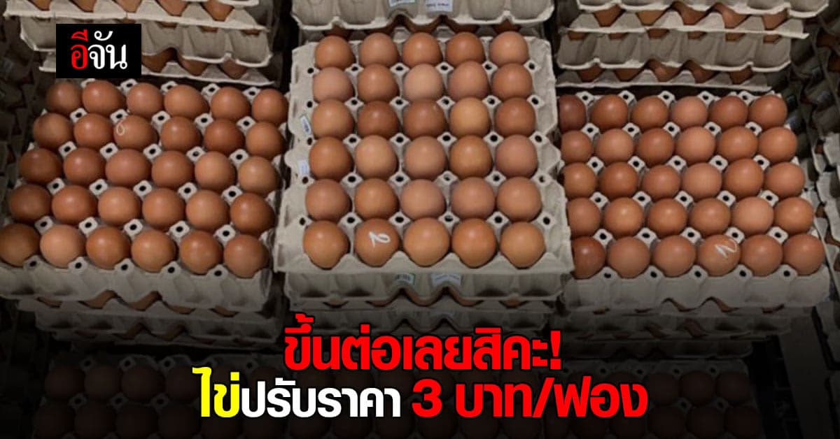 ไข่แพง? สมาคมผู้ผลิต ผู้ค้าและส่งออกไข่ไก่ แจ้งปรับขึ้นราคาไข่