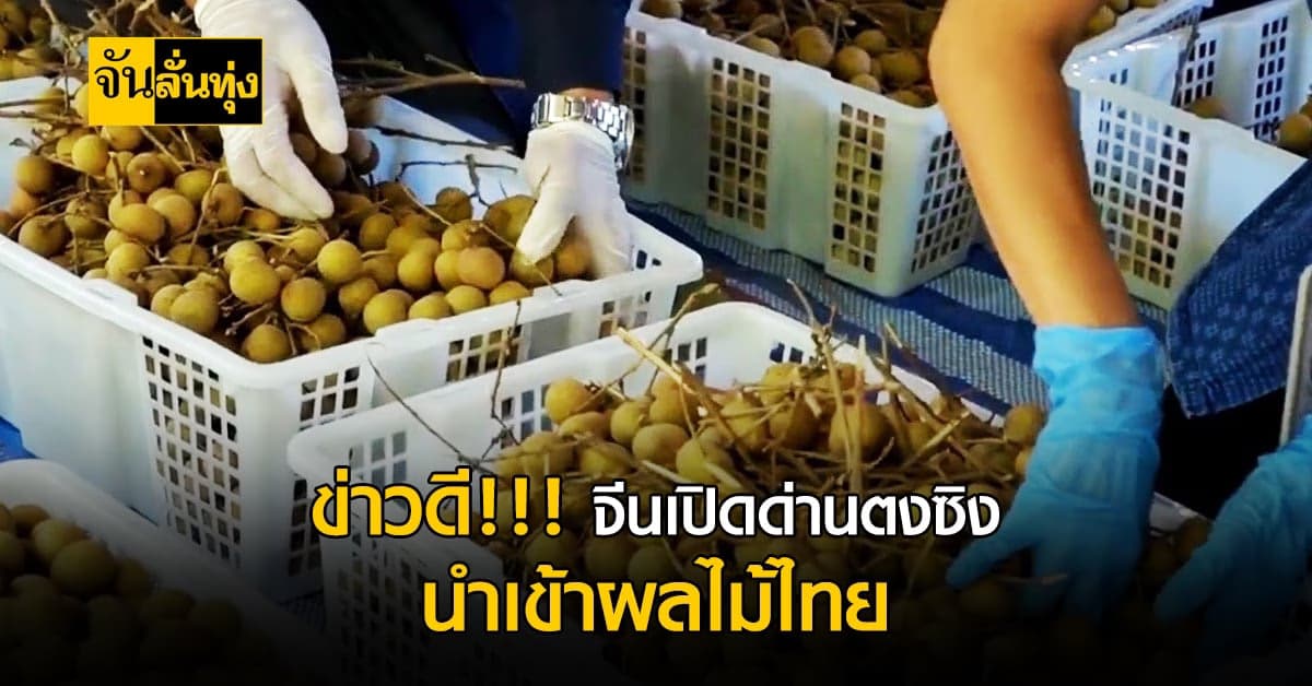 ข่าวดีสำหรับชาวสวน จีนเปิดด่านตงซิง นำเข้าผลไม้ 10 ม.ค.นี้