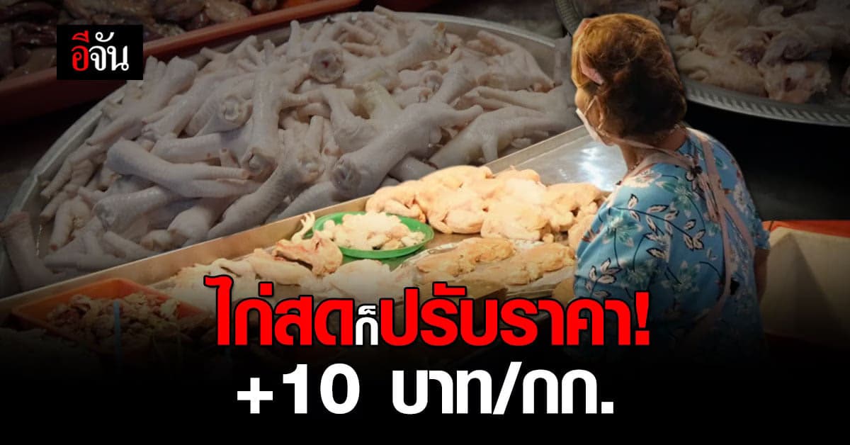 ไก่สดก็ขึ้นราคา! ทุกส่วนปรับขึ้น 10 บาทต่อกิโลกรัม