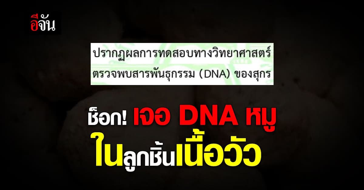 ช็อก! ตรวจพบ DNA หมูในลูกชิ้นเนื้อวัว