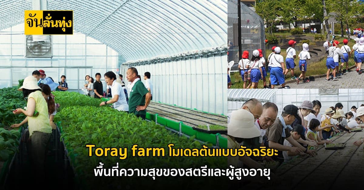 Toray Farm’ นวัตกรรมการเกษตร เพื่อผู้สูงอายุและสตรี ไอเดียจากญี่ปุ่น