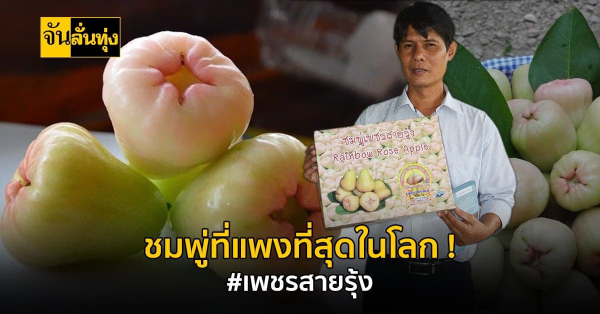 ชมพู่เพชรสายรุ้ง ชมพู่ที่แพงที่สุดในโลก!