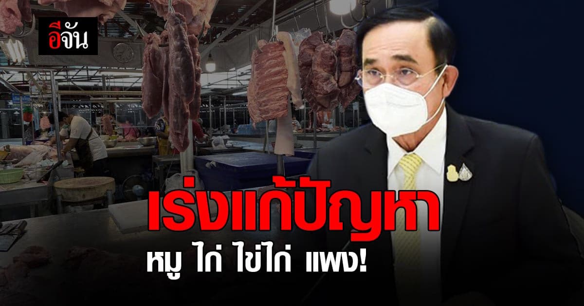 บิ๊กตู่ สั่งเร่งแก้ปัญหา หมู ไก่ ไข่ไก่ ราคาแพง