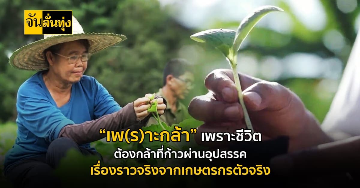 การทำเกษตรอย่างไม่ย่อท้อ เพื่อสร้างความสุขที่ยั่งยืน